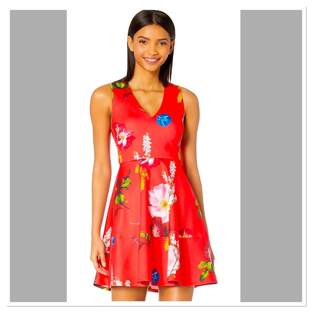 Ted Baker Strawberry Sundae Dress